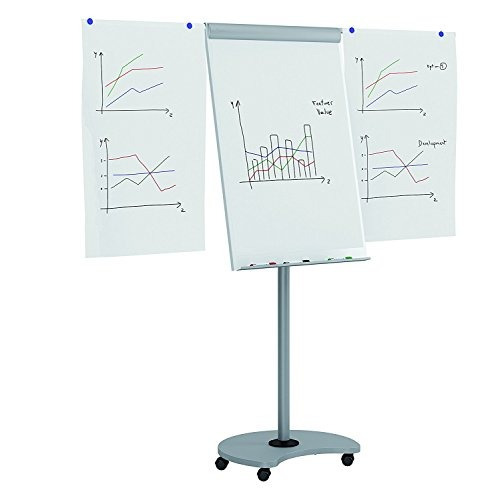 Rocada Visualline Touch Height Adjustable Magnetic Dry