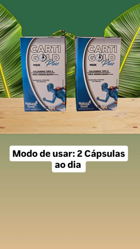 1 Nature Gold Carti Gold Plus Mdk Colágeno Tipo 2 -60caps