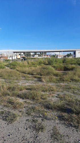 Terreno En Venta En Pedro Escobedo