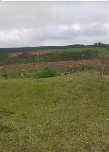 Imagem 11 de 11 de Chácara 32.900m2, 14mil M2 Em Parreiras, Barracão De 100m2, Casa Sede Com 160m2, 2 Dormitórios, Área De Churrasqueira, Ótima Localização - Ch00173 - 70318236