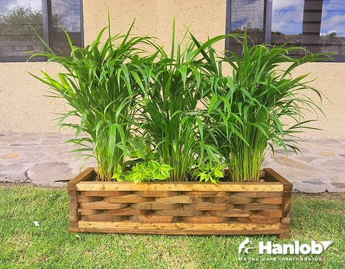 Imagen 3 de 9 de Maceta De Madera Tipo Jardinera Piña