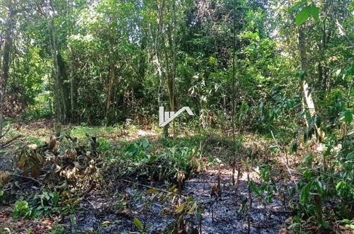 Imagem 4 de 6 de Bom Lote Inteiro No Jardim Coronel