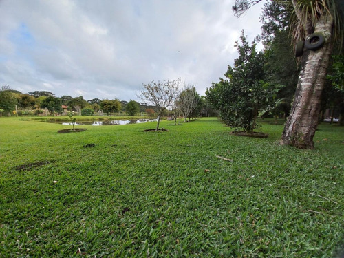 Imagem 11 de 15 de Sítio / Chácara Para Venda Em São José Dos Pinhais, Campo Largo Da Roseira, 2 Dormitórios, 1 Suíte, 1 Banheiro, 2 Vagas - 158_2-1591023