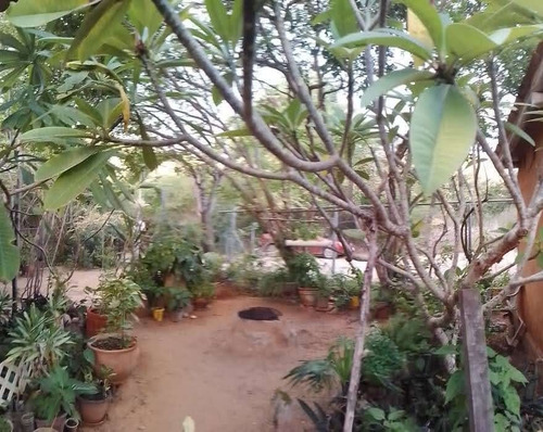 Imagen 3 de 13 de Casa En Playa Guacuco Isla De Margarita