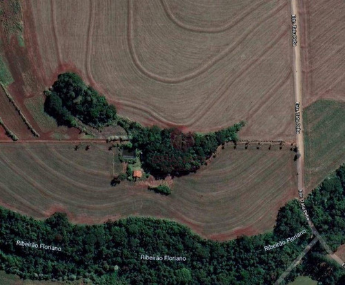Imagem 2 de 23 de Sítio À Venda, 130000 M² Por R$ 4.500.000,00 - Gleba Pinguim - Maringá/pr - Si0004