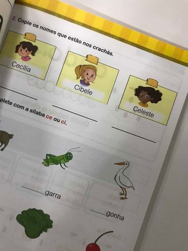 Livro Cartilha De Alfabetizacao - Caminho Do Saber