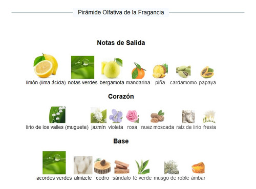 Perfume Unisex C/k One Extracto Importado Concentrado