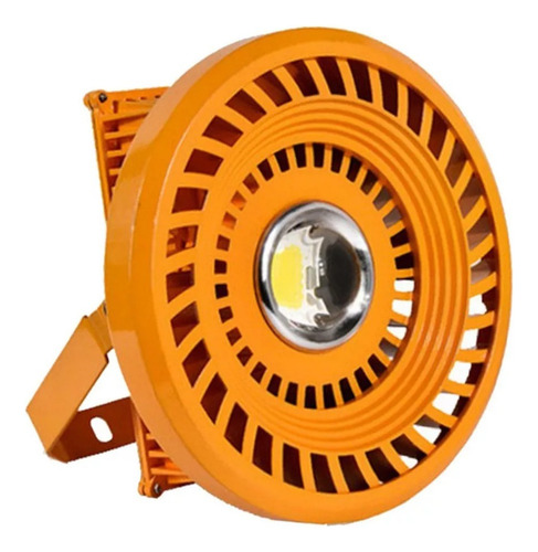 Luz De Inundación Led Antideflagrante 30w (blanco Frío)