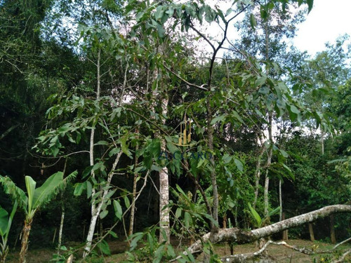 Chacara Em Nazare Paulista - Ch0105