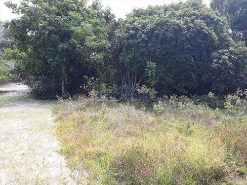 Imagem 4 de 30 de Terreno, Itacimirim, Camaçari - R$ 1 Mi, Cod: 67700 - V67700