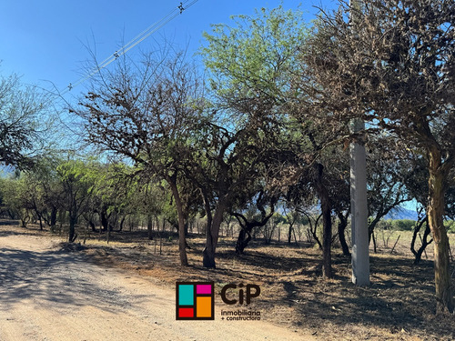 Venta De Lotes En Carpinteria Financiados