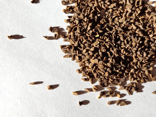 Semilla De Ruda Siria, Peganum Harmala 250 G.