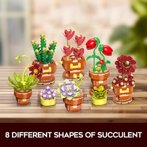 Insoon Juegos De Construcción De Bonsái De Flores Suculentas