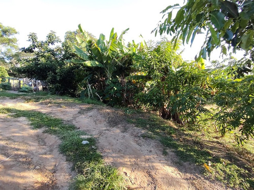 Imagem 19 de 30 de Chácara 16000m2, Casa Sede 100m2, 3 Dormitórios, 1 Suíte, Cozinha Americana, Pomar Formado, Poço Artesiano, Ótima Localização - Ch00232 - 70722519