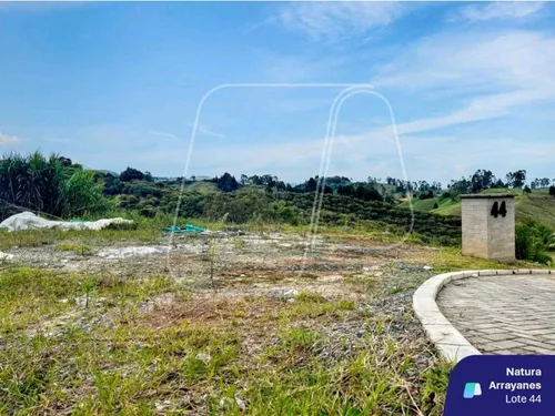 Lote Natura Arrayanes Guarne A 5 Min Del Aeropuerto