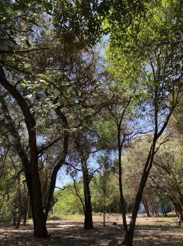 Imagen 2 de 9 de Labarden 2900 Tortuguitas