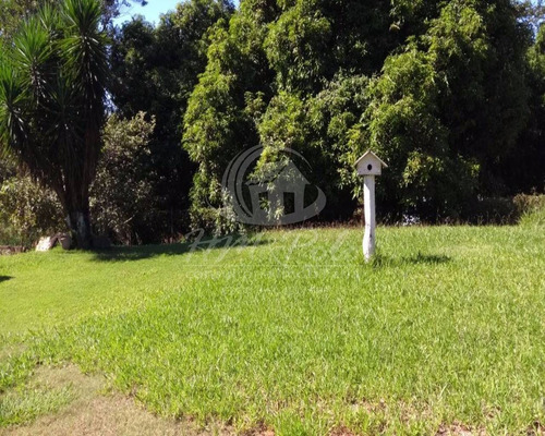 Imagem 1 de 19 de Chácara À Venda Em Núcleo Urbano Bom Jardim - Ch001602