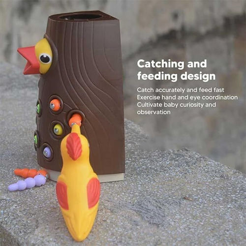 F 1 Conjunto De Alimentador Magnético De Pássaros.