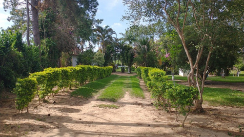 Imagem 10 de 30 de Chácara 15mil M2, Rica Em Água Com Nascentes, Tanque Com Peixes E Rio, Casa Sede Com 3 Dormitórios /1suíte, Casa Caseiro, Canil, Baia, Pomar, Piscina - Ch00253 - 70809480