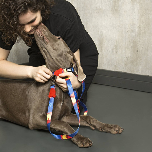 Imagem 6 de 6 de Kit Passeio Coleira + Guia Power Dog Tam M