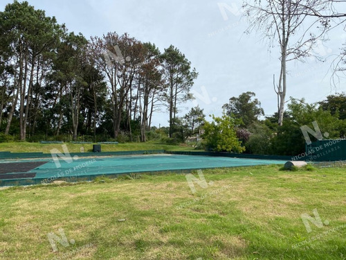 Imagen 4 de 12 de Excelente Lote En Golf, Punta Del Este - Punta Del Este Golf