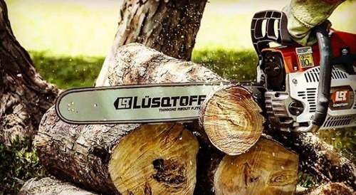 Afilador Cadena Motosierra 220v Lusqtoff 11002-b