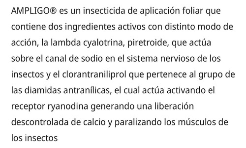Ampligo Insecticida Lambdacyalotrina Clorantraniliprol 1 Lt