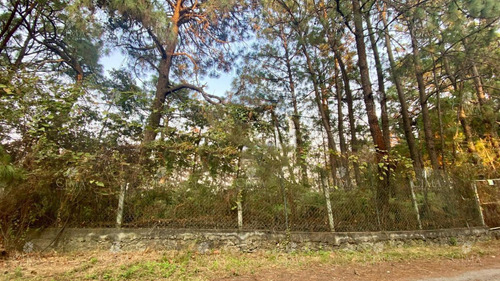 Venta Terreno En Fraccionamiento Del Bosque, Cuernavaca - T65