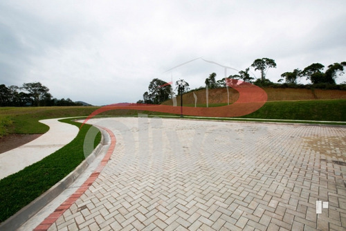 Imagem 6 de 8 de Terreno A Venda Em Brusque - Te00004 - 32328087