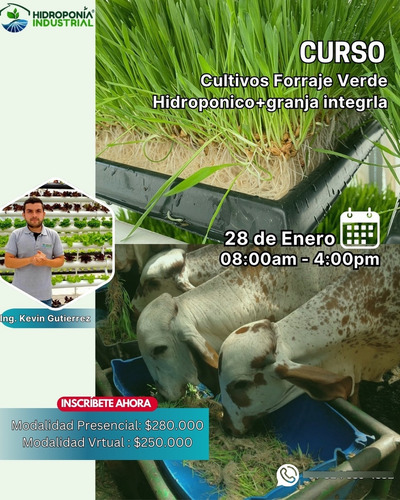 Curso Cultivo De Forraje Verde Hidroponico + Granja Integral