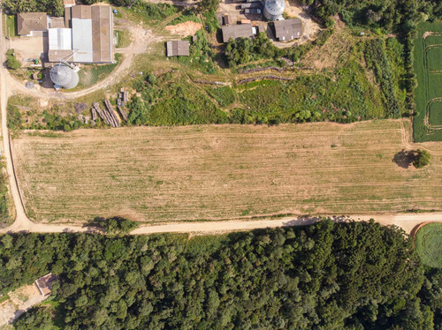 Imagem 14 de 17 de Terreno/ Área 20.000m² A Venda Em Araucária Pr. - Te00002 - 68828711