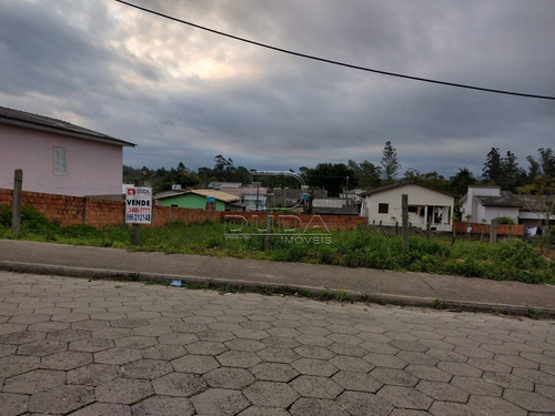 Imagem 2 de 4 de Terreno - Vila Nova - Ref: 29087 - V-29085