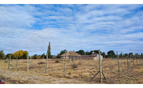 Lote En Venta San Rafael Mendoza