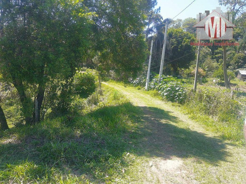 Imagem 9 de 25 de Chácara Com 2 Dormitórios, Córrego, Pomar, Bem Localizada, Apenas 200 Metros Do Asfalto, À Venda, 5446 M² Por R$ 200.000 - Monte Alegre Do Sul/sp - Ch1134