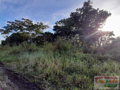 Imagem 1 de 4 de Terreno Para Venda Em Peruíbe, Jardim Marcia - 3629_2-862989