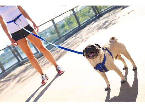 Correa Para Perro Manos Libres Road Runner Ezydog Zero Shock Color Rojo
