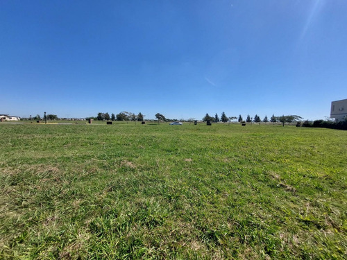 Imagen 12 de 30 de Terreno En Venta En B° San Sebastián Área 12