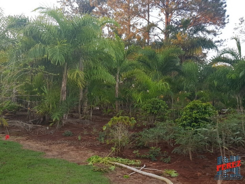 Imagem 12 de 25 de Chácaras_sítios_fazendas Para Venda - 13650.5683