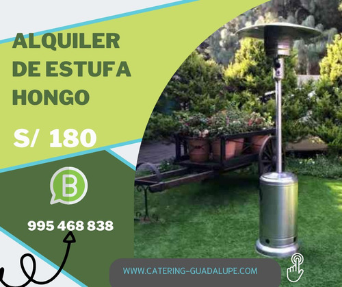 Alquiler De Estufa Calentador Eventos