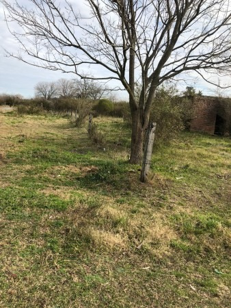 Imagen 6 de 6 de Lote De 20 X 28 En Lezica Y Torrezuri Con Escritura