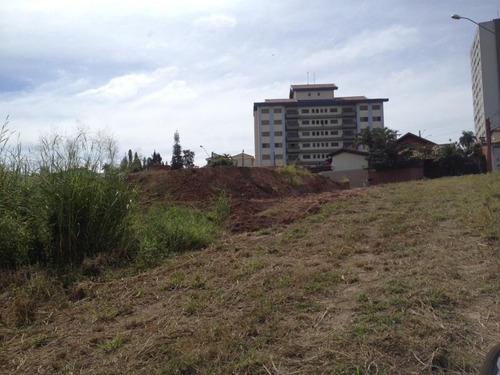 Imagem 11 de 15 de Terreno Residencial Para Venda Em Marília, Senador Salgado Filho - Te1007_2-608448