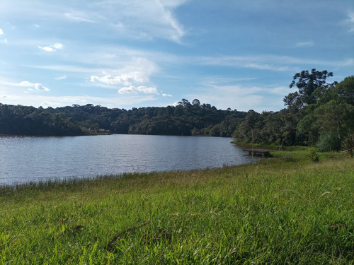 Area No Recreio Da Serra, Próximo De Curitiba