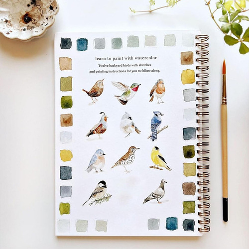 Conjunto De Desenhos Em Aquarela Para Iniciantes Em Pasta De