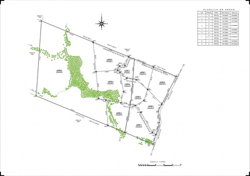 Imagen 2 de 20 de Venta Chacra Sierra Ruta 39 Aigua Sierra De Los Caracoles