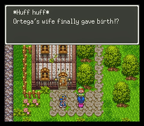 Dragon Quest V 5 Para Super Nintendo Accion Dragon Warrior 5 (Usado)