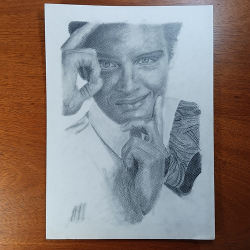 Luis Miguel Dibujo A Mano Carbonilla Y Grafito Retrato Arte (Usado)