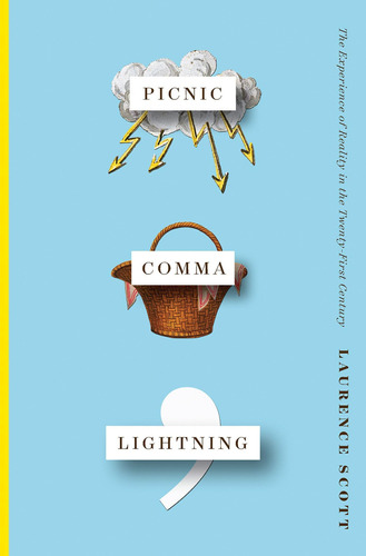 Libro: Picnic Comma The Experience Of Reality In The Century