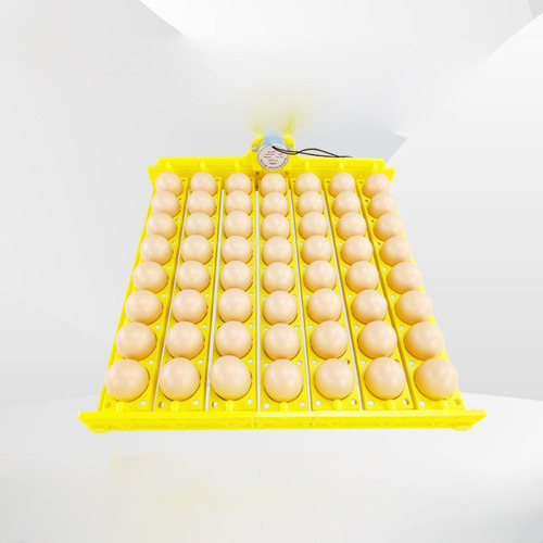 Para Incubadoras Pequenas Para Ovos De Galinha E De Pata