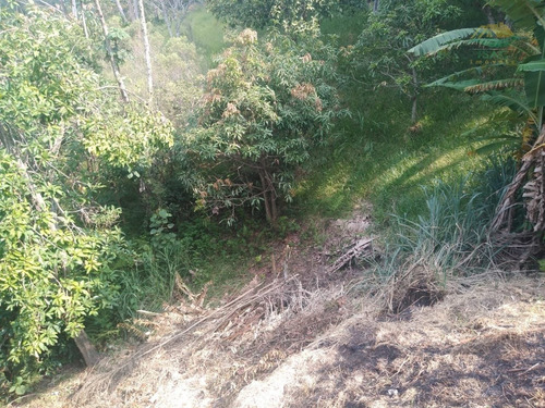 Imagem 19 de 20 de Chácara À Venda Em Mairiporã Sp - 0142 - 34968636