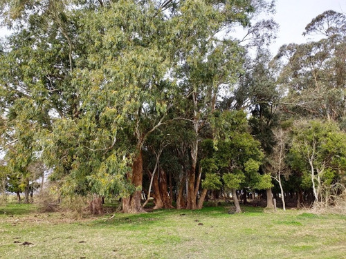 Imagen 11 de 14 de Campo En Venta En Punta Indio - 77 Hectáreas